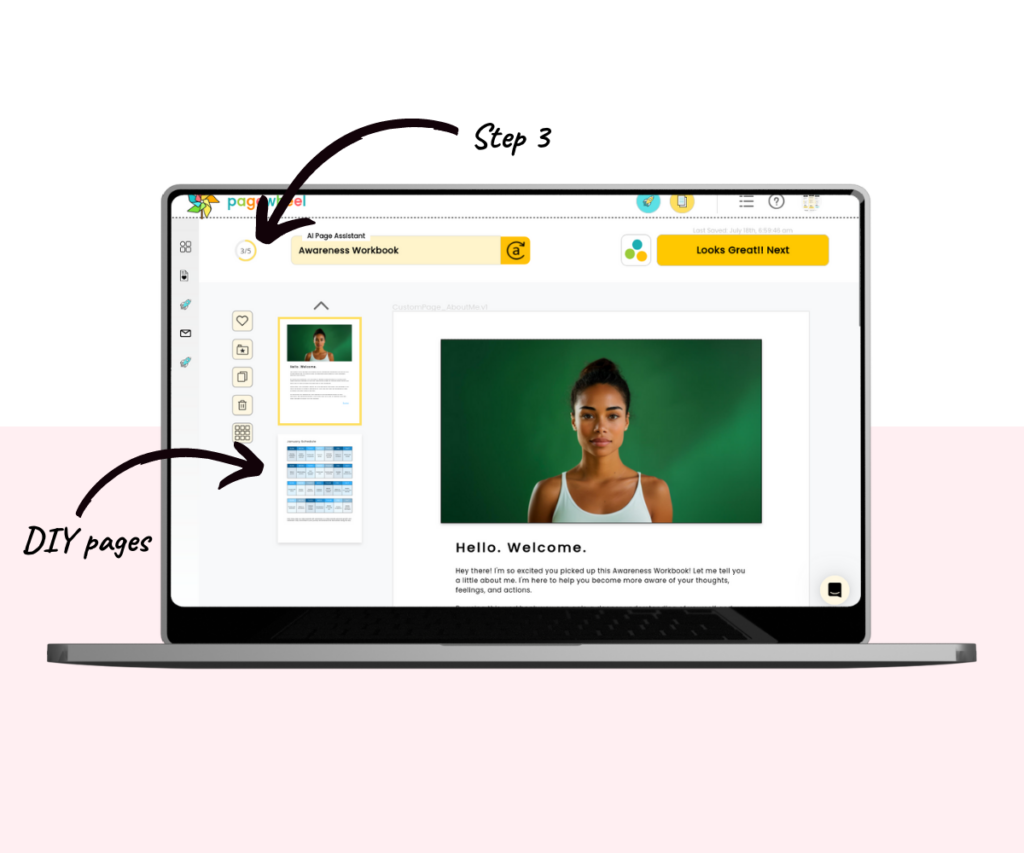 An annotated screenshot of the page editor, showing the location of the DIY pages panel and step indicator.