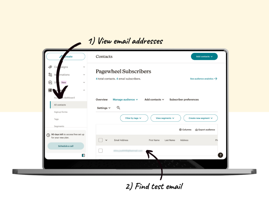 An annotated screenshot showing how to find the test email in your Mailchimp account. 